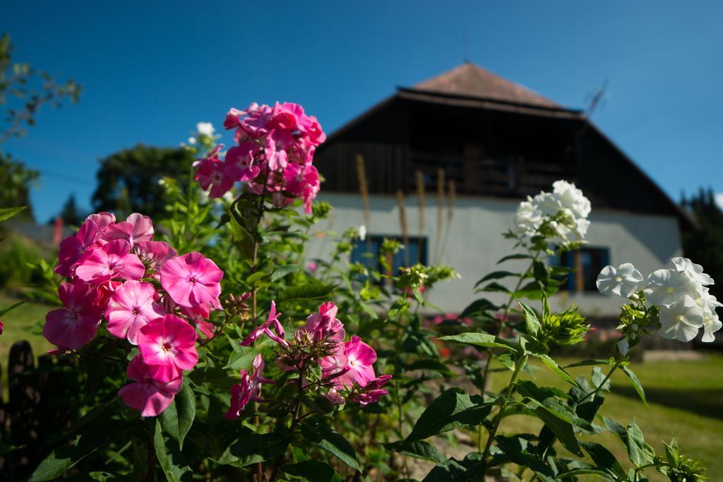 Apartment Kopanicakova Kubova Hut Exterior photo